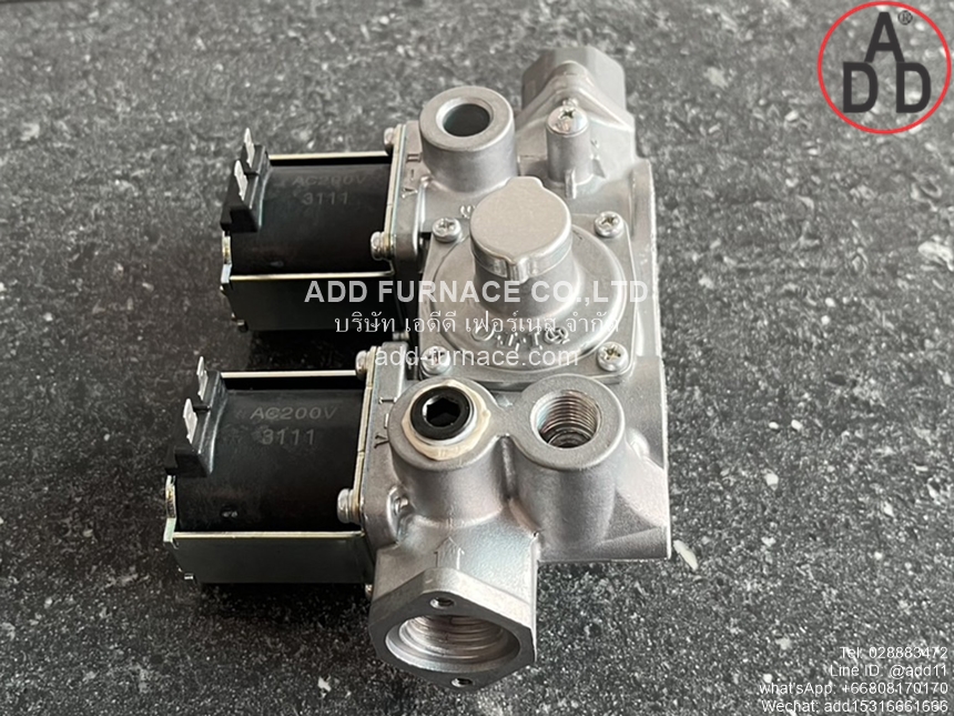 WS-102-100 AC200V (8)
